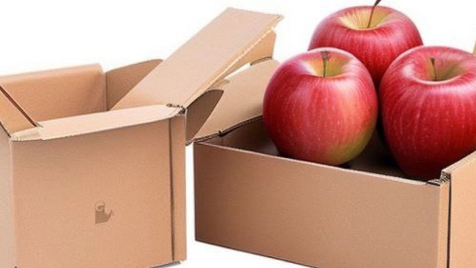 Production of apple cartons and cardboard boxes for fruit