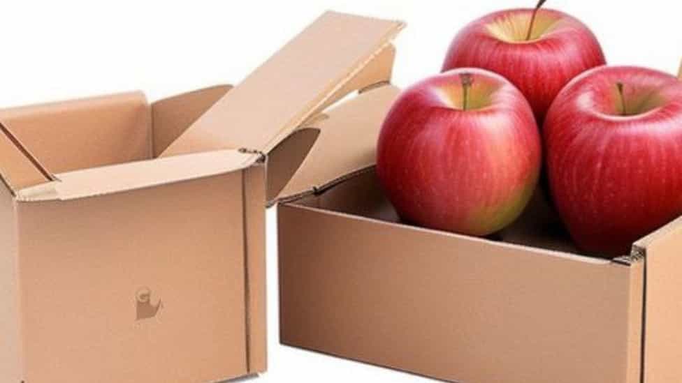 تولید کارتن سیب و جعبه مقوایی برای میوه