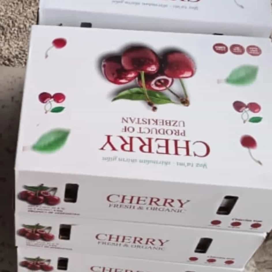 1781086232950.webp