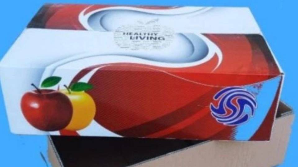 تولید کارتن سیب و جعبه مقوایی برای میوه تولید کارتن سیب و جعبه مقوایی برای میوه